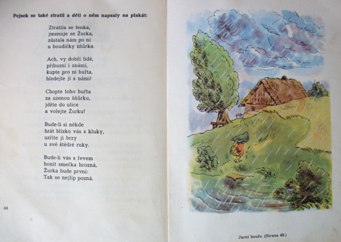 pejsek