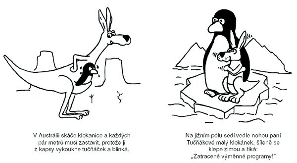 vtip